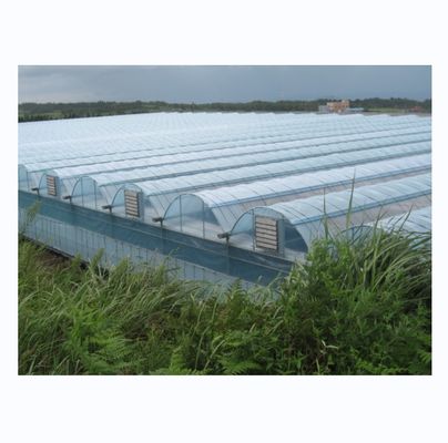 Estufas hidropónicas industriais com resistência super forte Estufas multi-espansões