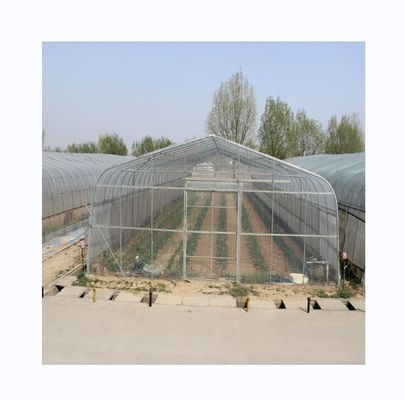 Estufa de túnel de PE para o cultivo hidropónico de tomate, fácil montagem Comprimento 10-100m