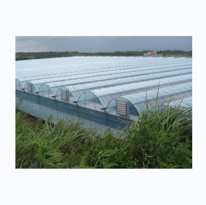 Estufas de película agrícola de grande comprimento com sistema de arrefecimento opcional