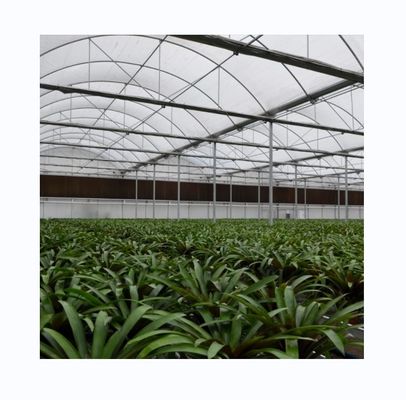 Galvanizado Estrutura de aço cinza de película de camada única Para a agricultura comercial em grande escala