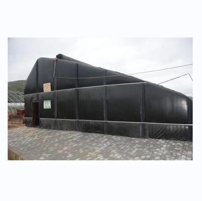 Estufas solares revestidas por filme para o cultivo sustentável de pepino de inverno