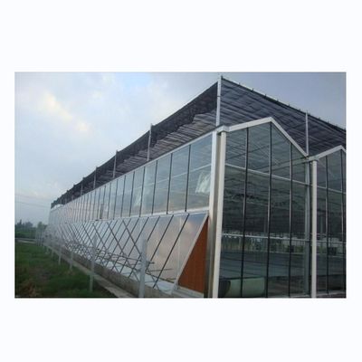 Estrutura de estrutura de aço galvanizado a quente Estufas de vidro Venlo para agricultura vegetal