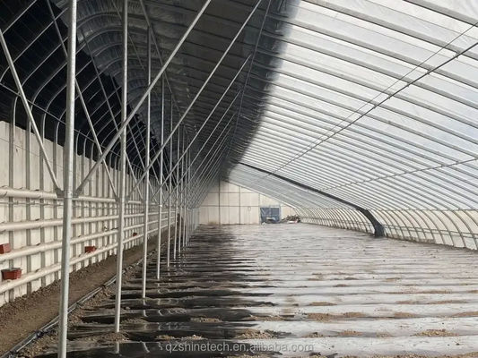 Impulsionar o crescimento das culturas de inverno Estufas agrícolas de solo único Altura 3,5-5M