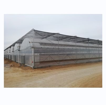 4.0-8.0M Altura Agricultura Multi-Span Estufas Plásticas Estufas Para Tomate Projeto Chave-a-Chave