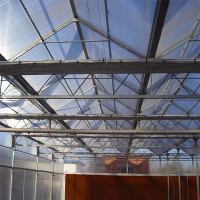 8m 9,6m 12m Largura de espessura Estufa agrícola para sementes e vegetais de tomate híbridos