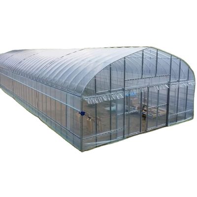 2.5-5M Altura Tomate Hidropônico Alto Túnel Agricultura Estufas com cobertura de filme