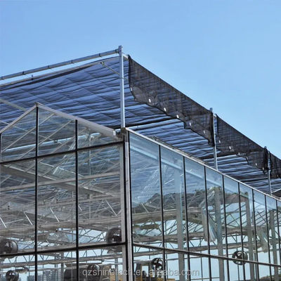 Estrutura de estrutura de aço galvanizado a quente Estufas de vidro Venlo para agricultura vegetal