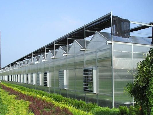 8m 9,6m 12m Largura de espessura Estufa agrícola para sementes e vegetais de tomate híbridos