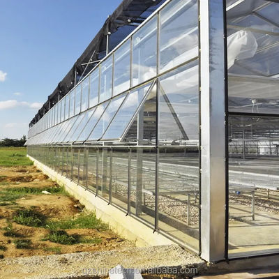Estrutura de estrutura de aço galvanizado a quente Estufas de vidro Venlo para agricultura vegetal