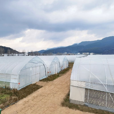 2.5-5M Altura Tomate Hidropônico Alto Túnel Agricultura Estufas com cobertura de filme