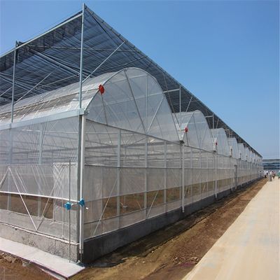 4.0-8.0M Altura Agricultura Multi-Span Estufas Plásticas Estufas Para Tomate Projeto Chave-a-Chave