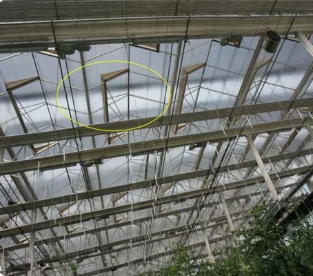 Estrutura de estrutura de aço galvanizado a quente Estufas de vidro Venlo para agricultura vegetal