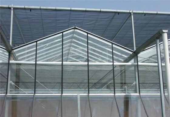 Estrutura de estrutura de aço galvanizado a quente Estufas de vidro Venlo para agricultura vegetal