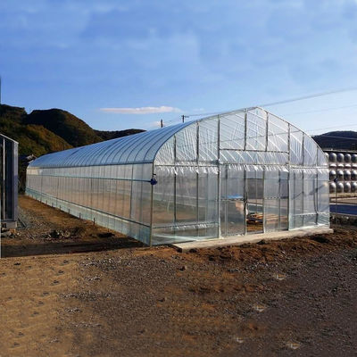 2.5-5M Altura Tomate Hidropônico Alto Túnel Agricultura Estufas com cobertura de filme