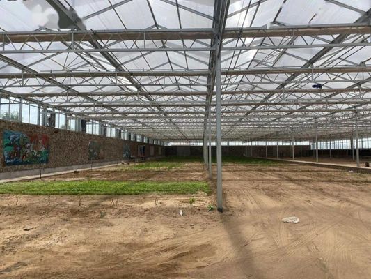 8m 9,6m 12m Largura de espessura Estufa agrícola para sementes e vegetais de tomate híbridos