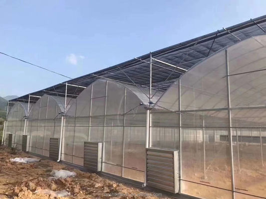 4.0-8.0M Altura Agricultura Multi-Span Estufas Plásticas Estufas Para Tomate Projeto Chave-a-Chave