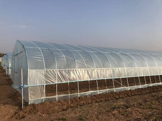 2.5-5M Altura Tomate Hidropônico Alto Túnel Agricultura Estufas com cobertura de filme