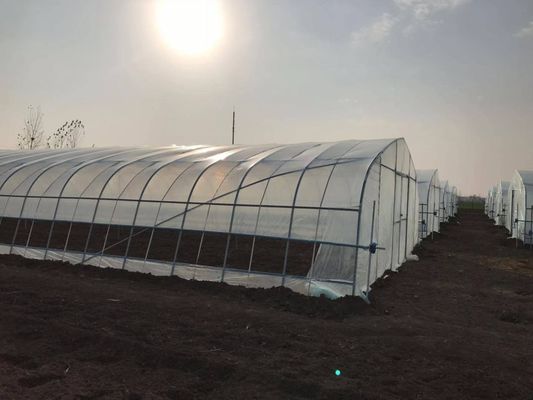 2.5-5M Altura Tomate Hidropônico Alto Túnel Agricultura Estufas com cobertura de filme