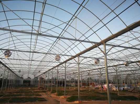 4.0-8.0M Altura Agricultura Multi-Span Estufas Plásticas Estufas Para Tomate Projeto Chave-a-Chave