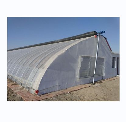 150/200 Estufas solares cobertas por microfilme para cultivo de pepino de rendimento