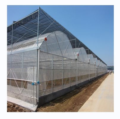 Material de cobertura de filme Agricultura Estufas multi-espans com tubos de aço galvanizados