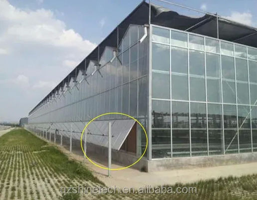 Grande estufa de vidro Venlo Solução ideal para o cultivo de vegetais Projeto chave na mão