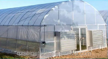 6m-10m Largura de aço galvanizado Single Span PE Film Greenhouse para Tomate