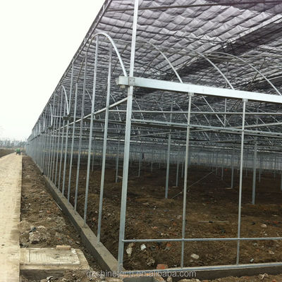 Material de cobertura de filme Agricultura Estufas multi-espans com tubos de aço galvanizados
