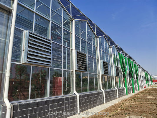 Grande estufa de vidro Venlo Solução ideal para o cultivo de vegetais Projeto chave na mão