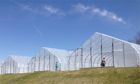 6m-10m Largura de aço galvanizado Single Span PE Film Greenhouse para Tomate