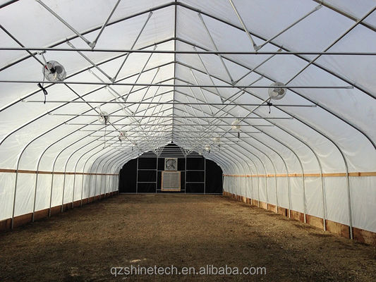 6m-10m Largura de aço galvanizado Single Span PE Film Greenhouse para Tomate