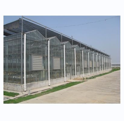 Grande estufa agrícola com estrutura de aço galvanizado e sistema de refrigeração opcional