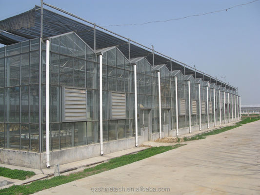 Grande estufa agrícola com estrutura de aço galvanizado e sistema de refrigeração opcional