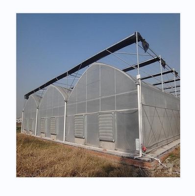 Fácil de montar Kit Agrícola de Tomate Estrutura Estufa Com Super Forte Resistência