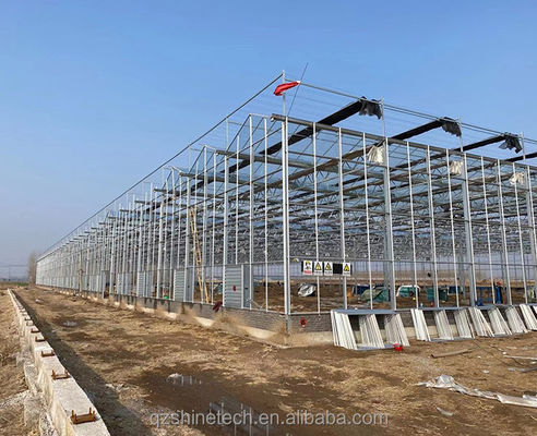 Grande estufa agrícola com estrutura de aço galvanizado e sistema de refrigeração opcional