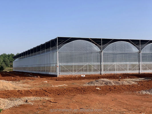 Fácil de montar Kit Agrícola de Tomate Estrutura Estufa Com Super Forte Resistência