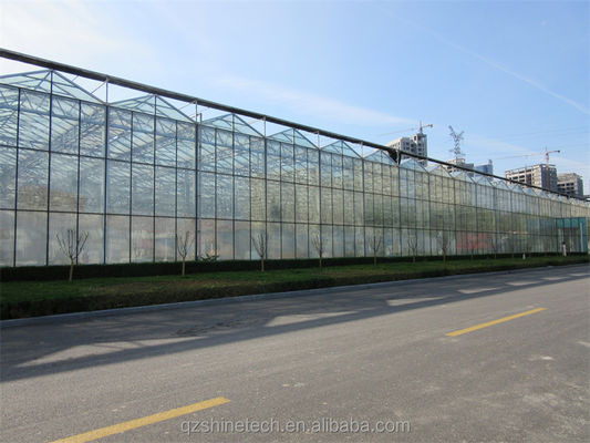 Grande estufa agrícola com estrutura de aço galvanizado e sistema de refrigeração opcional