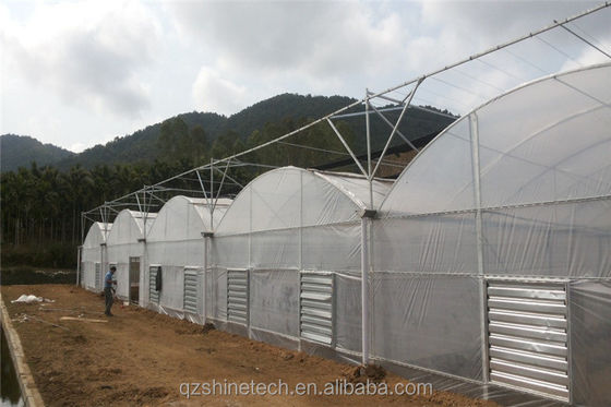 Fácil de montar Kit Agrícola de Tomate Estrutura Estufa Com Super Forte Resistência