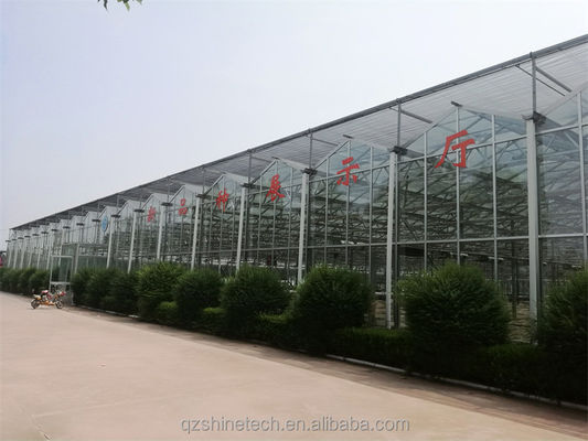 Grande estufa agrícola com estrutura de aço galvanizado e sistema de refrigeração opcional