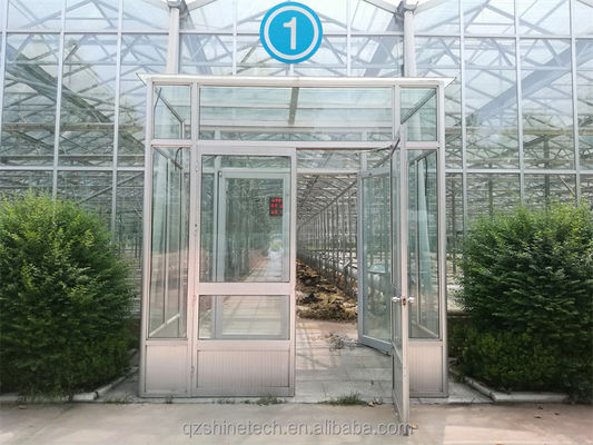 Grande estufa agrícola com estrutura de aço galvanizado e sistema de refrigeração opcional
