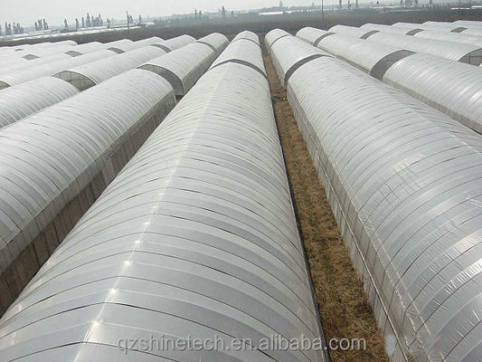 Filme de estufa para agricultura com 10-100m de comprimento