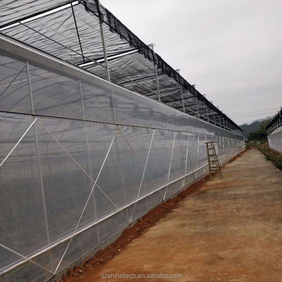 Fácil de montar Kit Agrícola de Tomate Estrutura Estufa Com Super Forte Resistência