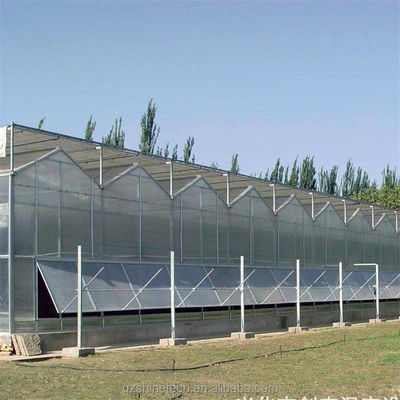 Forte Resistência Multi Span Venlo PC Folha Estufa Arco Policarbonato Estufa