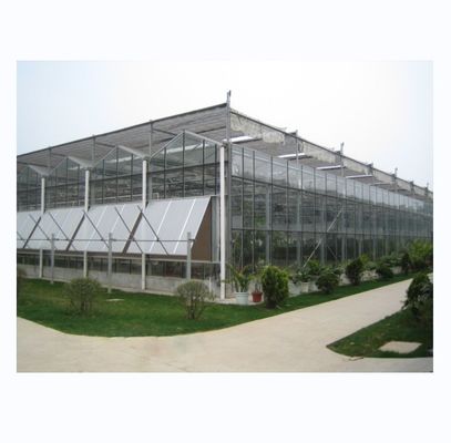 Maximizar a colheita Super Resistência Forte Multi-Span Estufas agrícolas