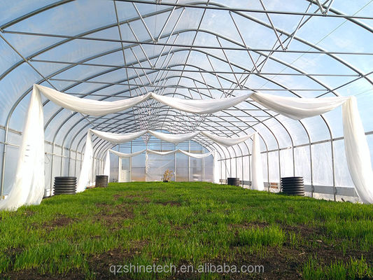 Estufa de filme de túnel alto para o cultivo de tomates 6-10m de largura