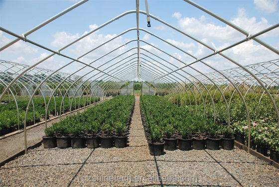 Estufa de filme de túnel alto para o cultivo de tomates 6-10m de largura
