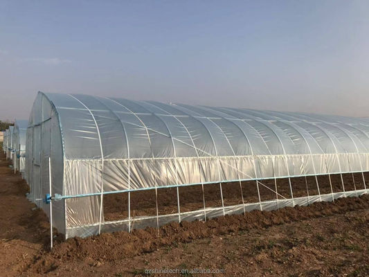 Estufa de filme de túnel alto para o cultivo de tomates 6-10m de largura