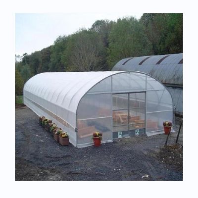 Hidroponia de tomate de estufa agrícola para aumento do rendimento em single span design