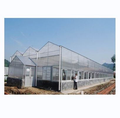 Estufas industriais de policarbonato Ideal para o cultivo de vegetais Frutas Flores