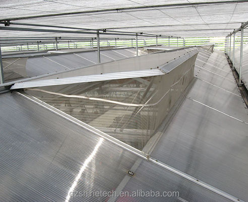 Estufas industriais de policarbonato Ideal para o cultivo de vegetais Frutas Flores